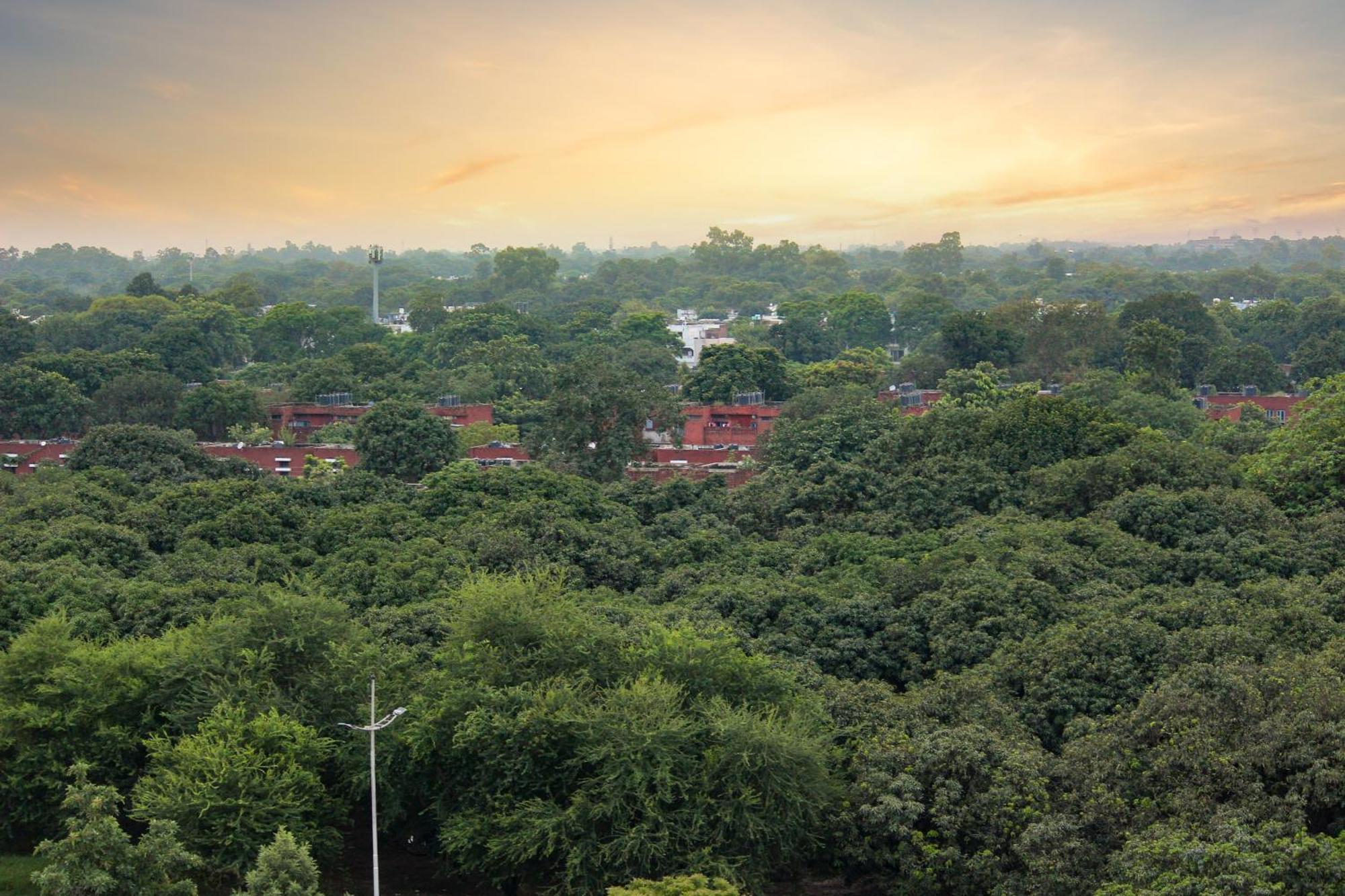 Hotel Mango Grove