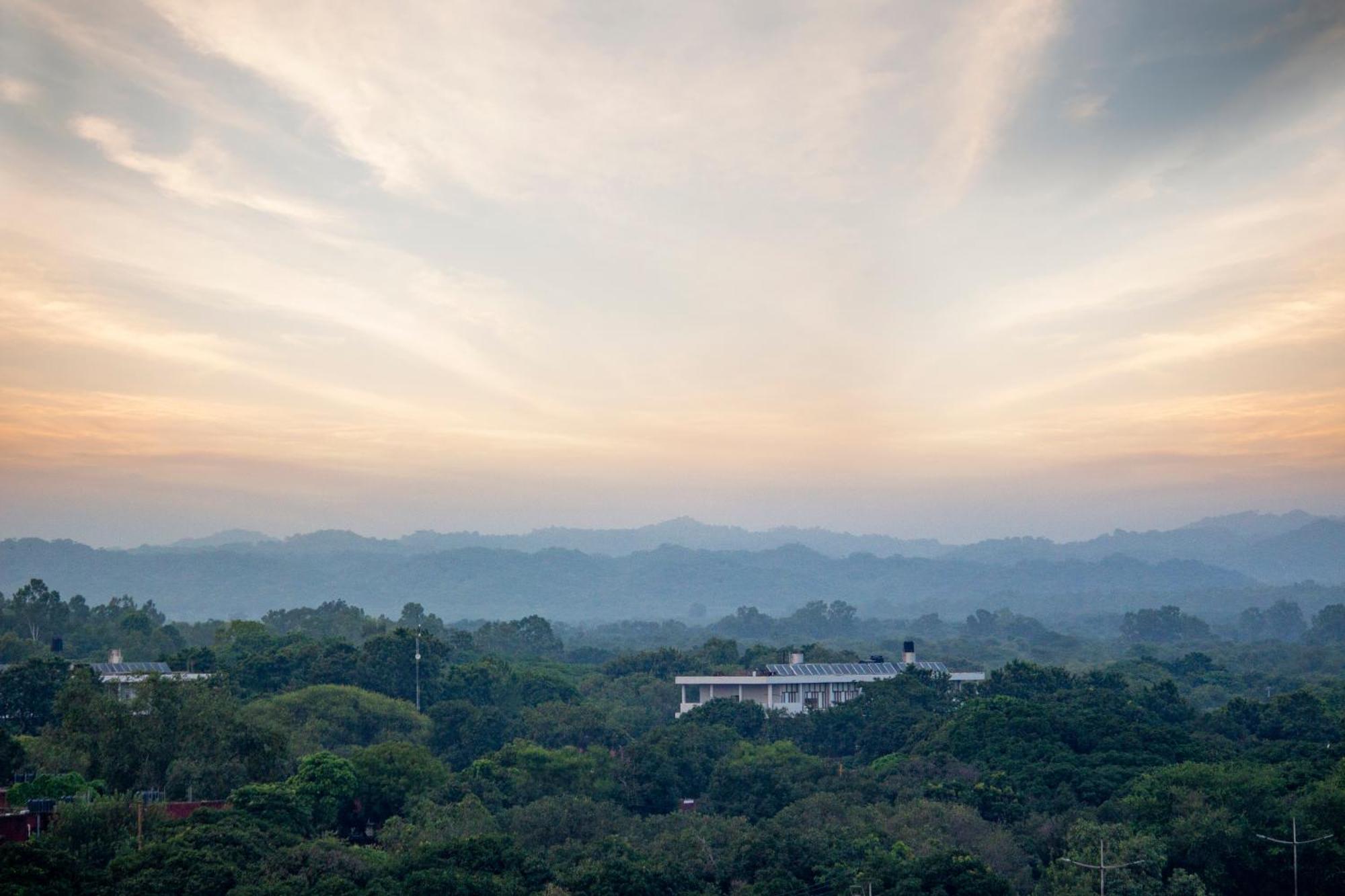 Hotel Mango Grove